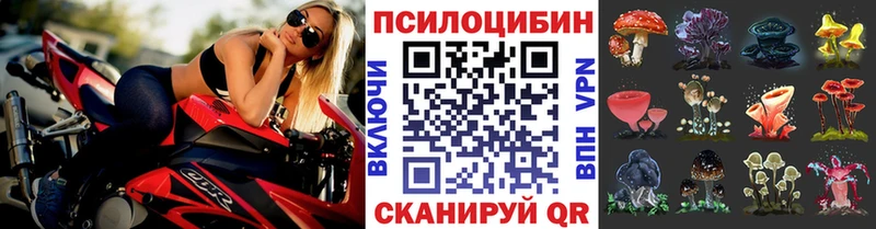 Псилоцибиновые грибы GOLDEN TEACHER  Феодосия 